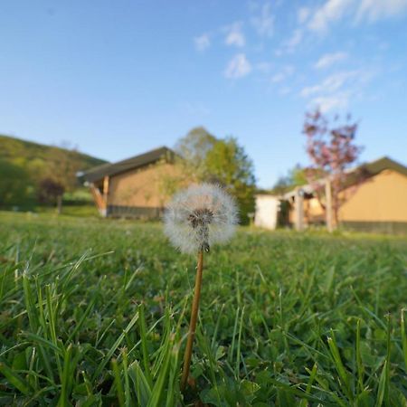 Safaritent Op Camping Berkel Bockholtz Luaran gambar
